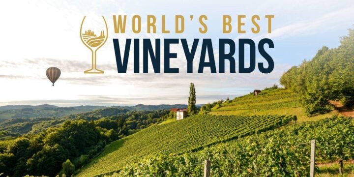 “World’s Best Vineyards 2022″ 11 produtores portugueses no top 100